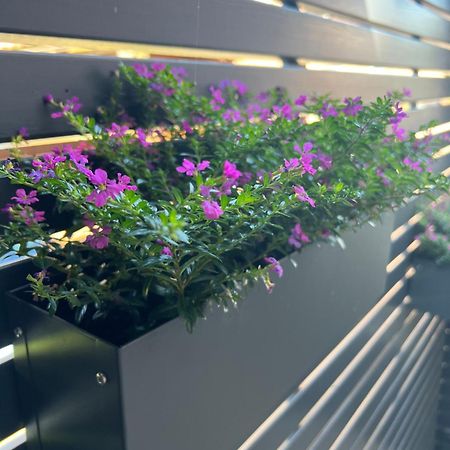 Ferienwohnung Olli Koch Reken المظهر الخارجي الصورة